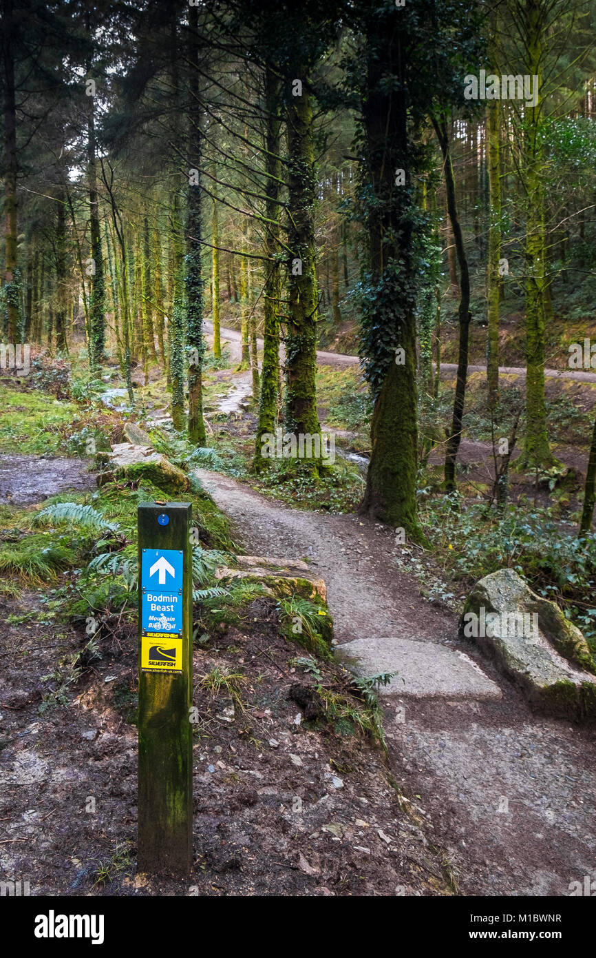 Cardinham Woods en Cornwall - un cartel de madera dando indicaciones a la bestia en Bodmin mountain bike trail en Cardinham Woods en Bodmin Cornwall. Foto de stock