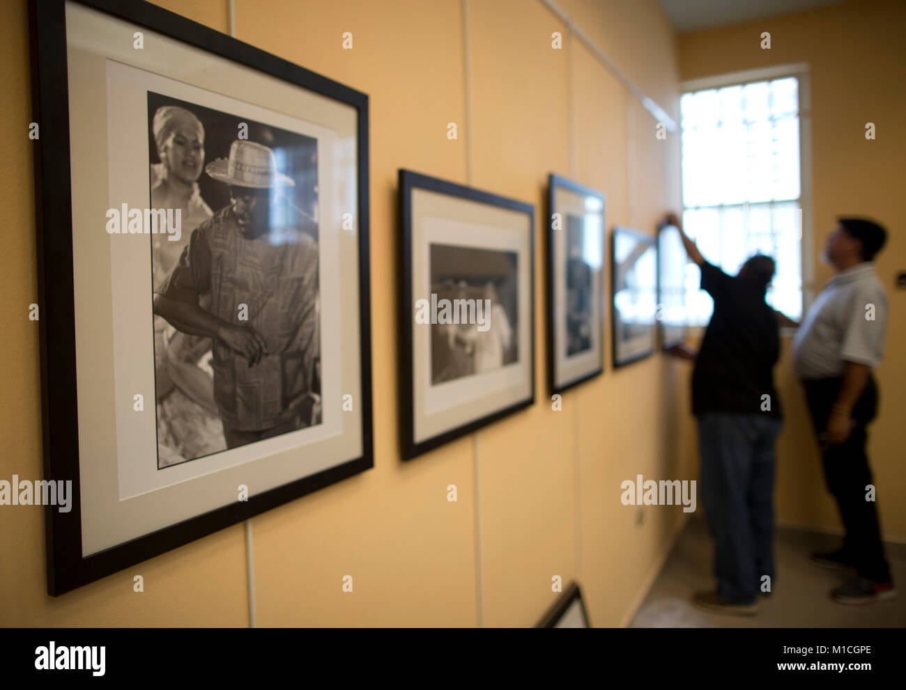 Carolina, Puerto Rico. , . Suscríbete y Centro de InvestigaciÂ HistÂ-n-rica  Trabajos con motivo de la apertura eel viernes prÂ-ximo de ANU exposiciÂ-n  sobre Tite Curet Alonso. En la foto, empleados del