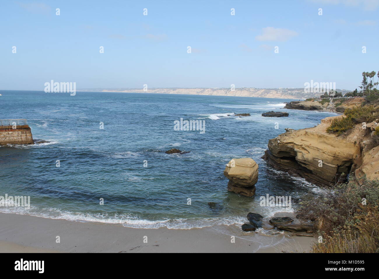 Sello de olas en la playa Mar Océano Finca Molino aves gaviota pelican San Diego Foto de stock