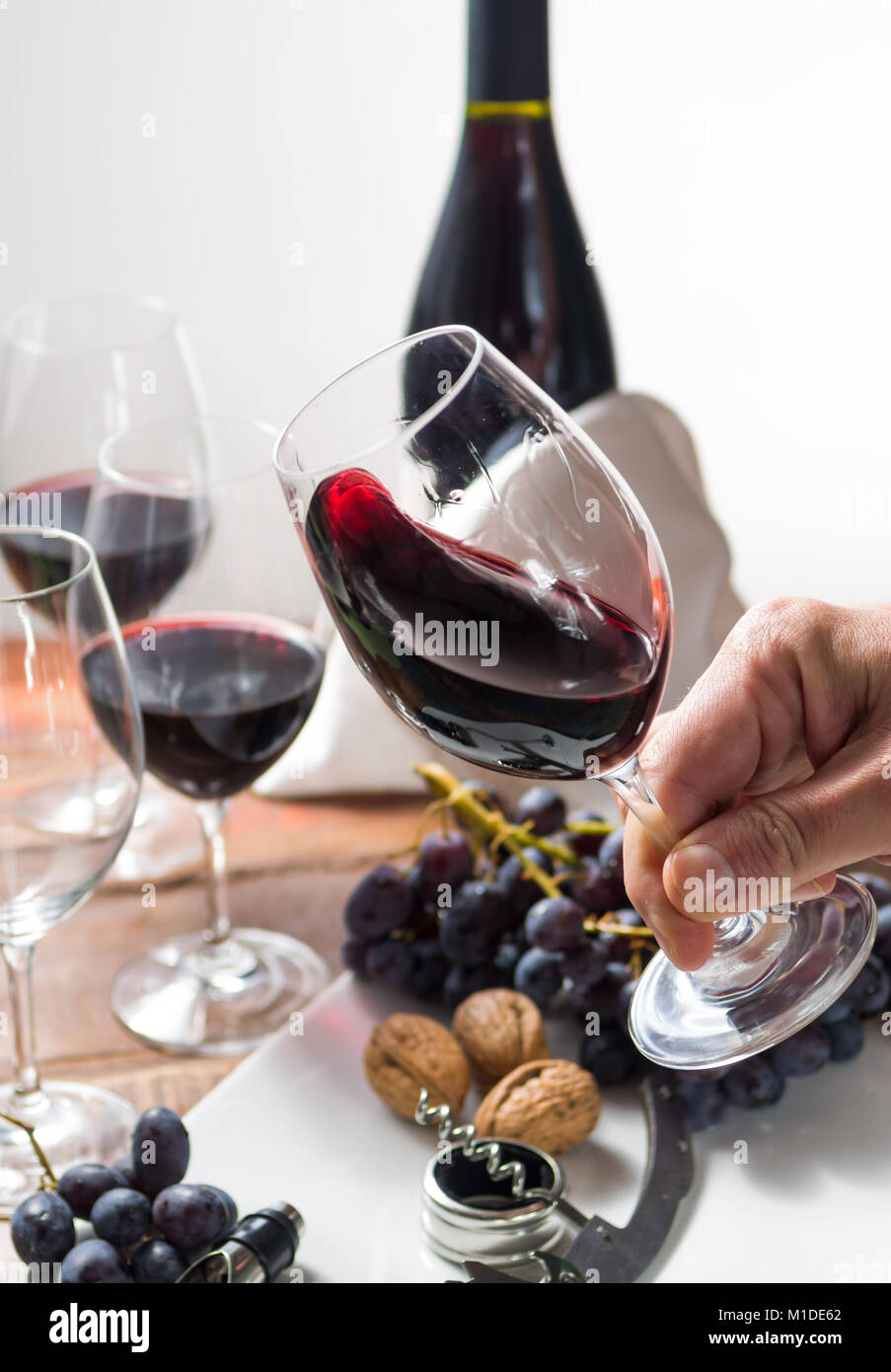 Profesional de cata de vino tinto con copas de vino de alta calidad y  accesorios para el vino cerrar Fotografía de stock - Alamy