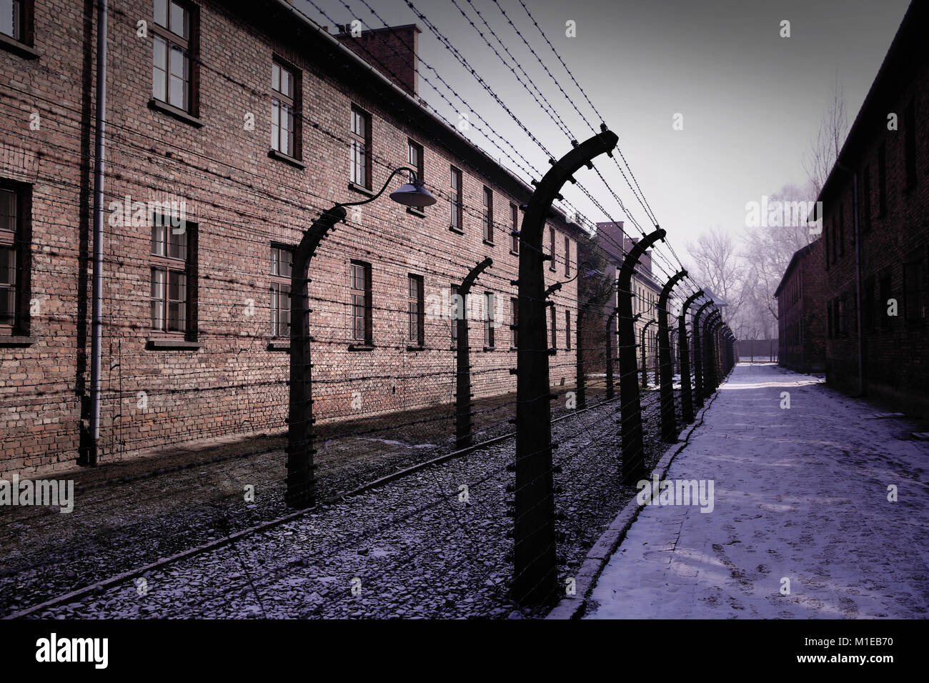 Vallado eléctrico entre bloques de alojamientos en Auschwitz I - Oswiecim - Polonia Foto de stock