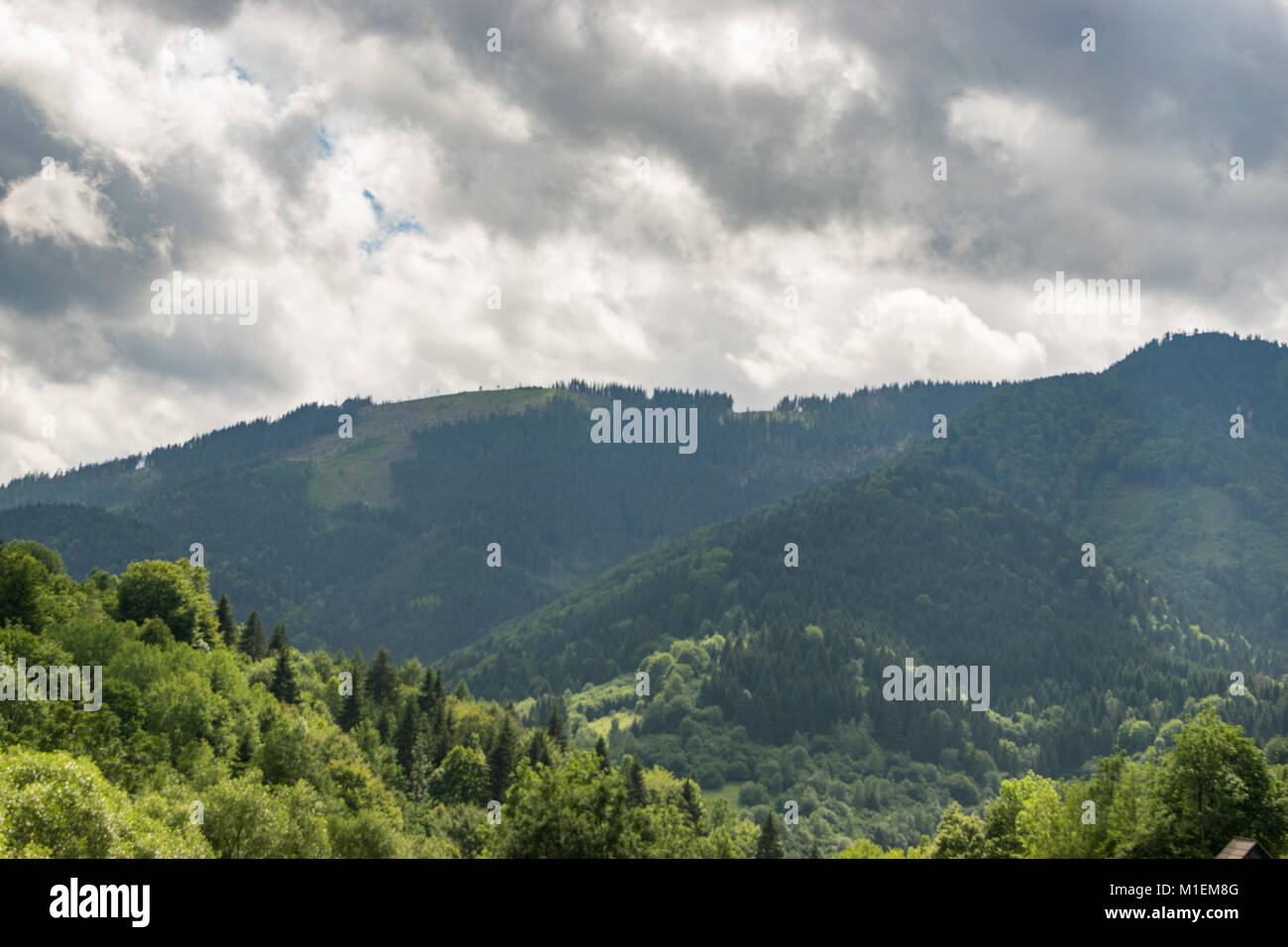 Las montañas y los bosques alrededor de Vlkolinec Foto de stock