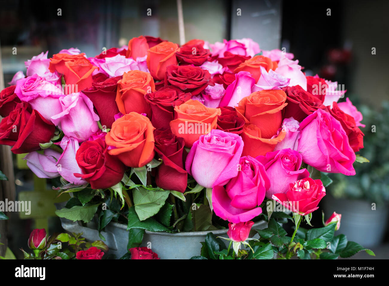 Ramos de rosas ramos de rosas fotografías e imágenes de alta resolución -  Página 5 - Alamy