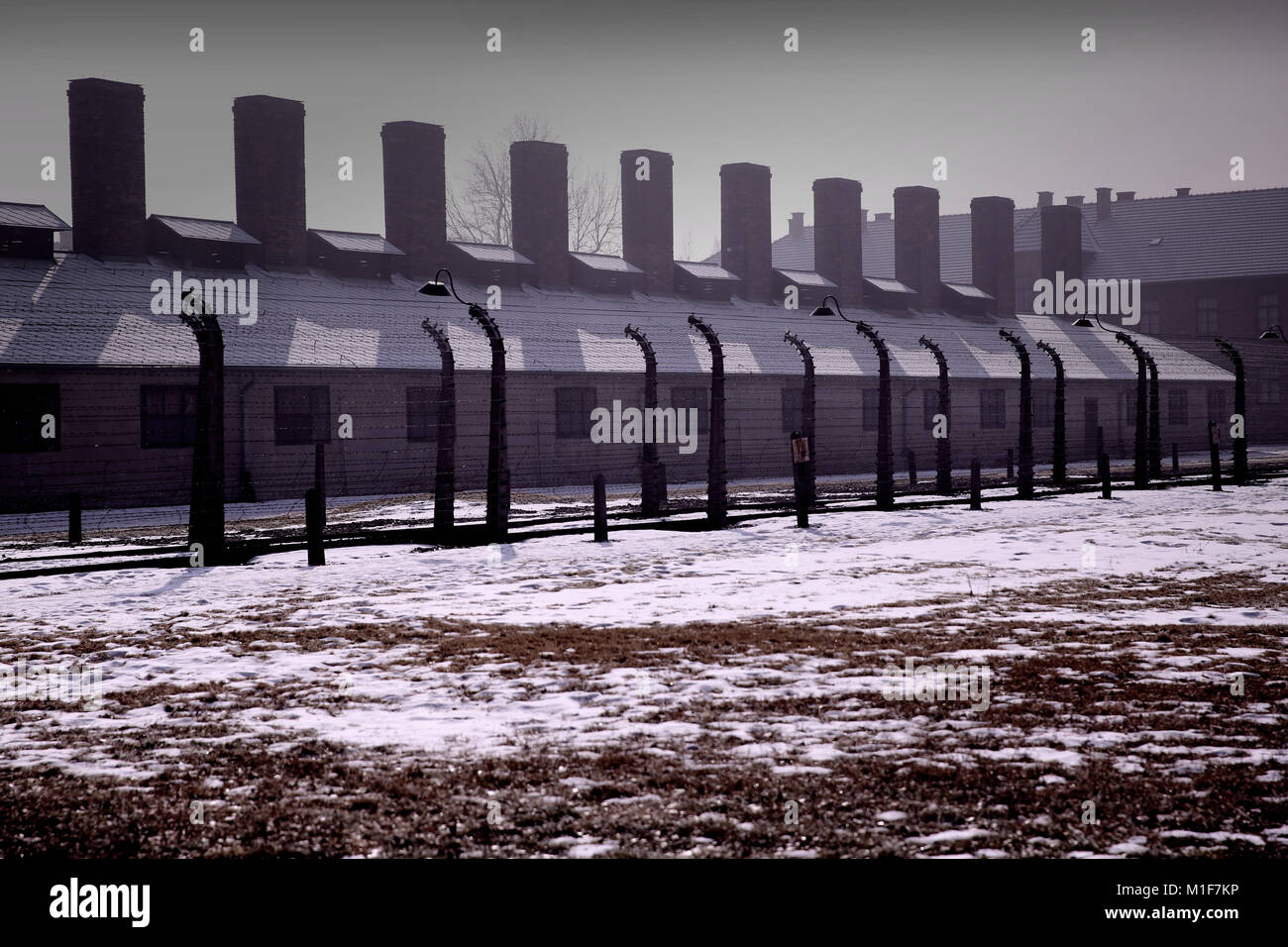 Bloque de cocina del campamento en Auschwitz I Holocaust Memorial Museum Foto de stock