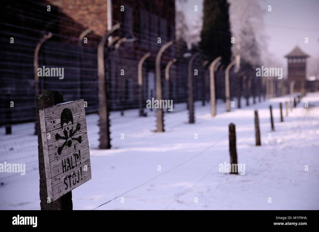 Cráneo y huesos cruzados firmar 'Halt' cerca de vallas eléctricas y alambre de espino que rodea Auschwitz I Memorial del Holocausto y museo - Polonia Foto de stock