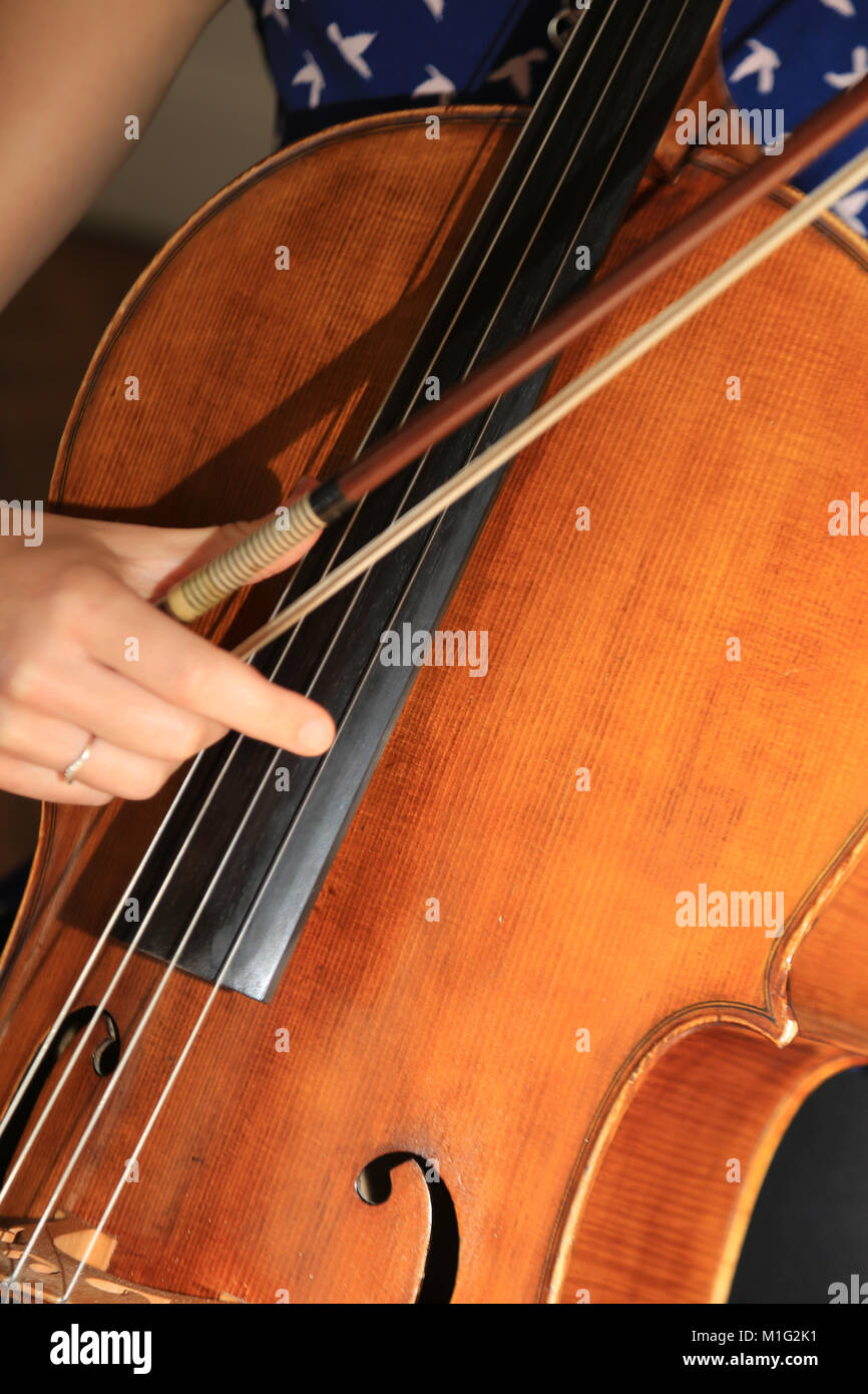 Contrabajo, contrabajo, contrabajo, bajo, bajo de viola, violín, contrabajo  o Bull fiddle, músico, condado de Cork Fotografía de stock - Alamy