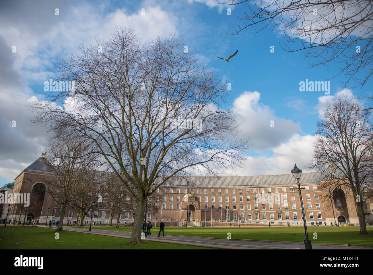 Una vista de la ciudad de Bristol Consejo del Colegio verde, cerca de la Catedral, con árboles y una lámpara de la calle, un intenso azul cielo y nubes, 1 gaviota Foto de stock