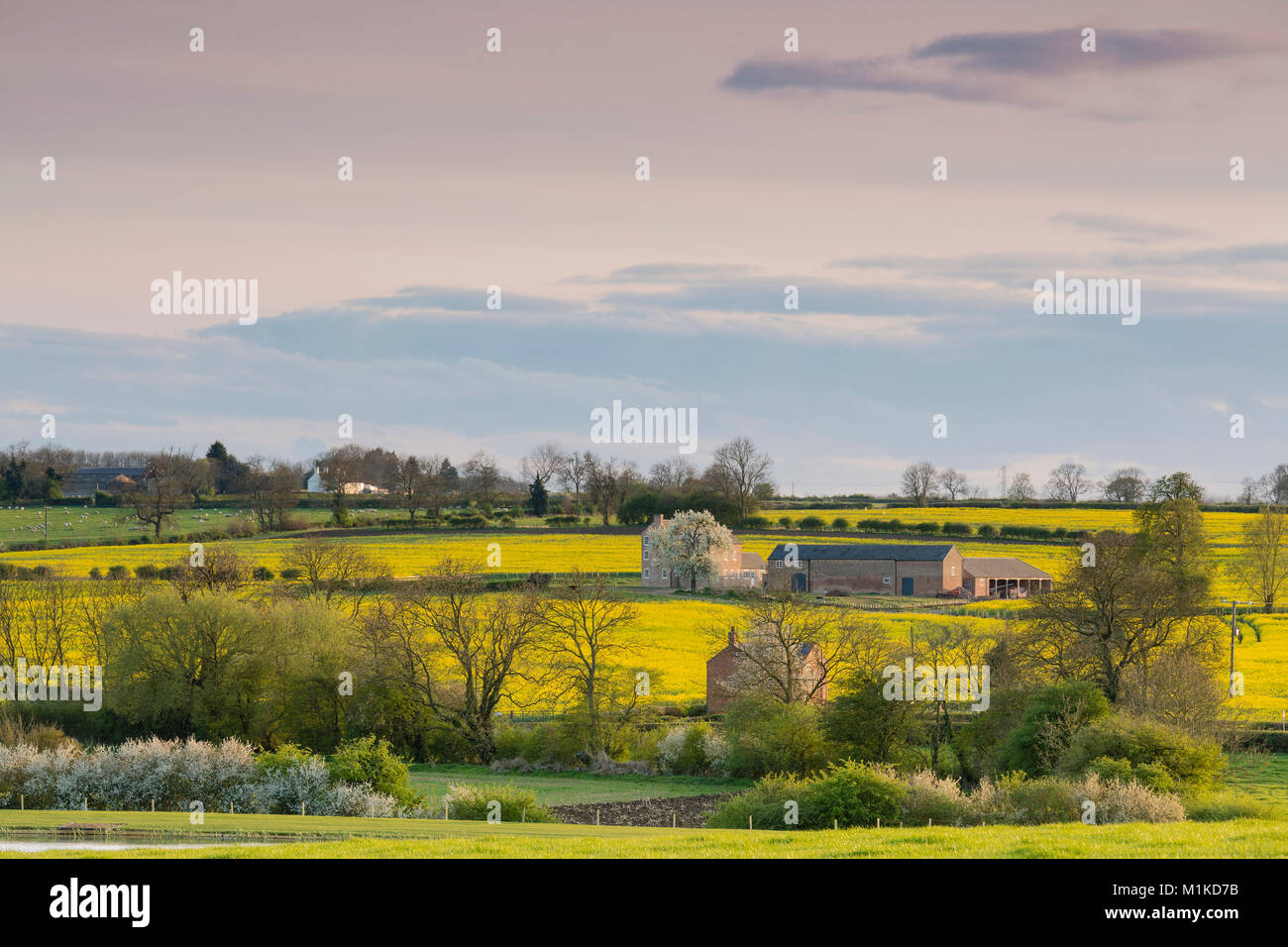 La imagen de una granja y edificios ubicados en la campiña de Leicestershire, Inglaterra, Reino Unido. Foto de stock