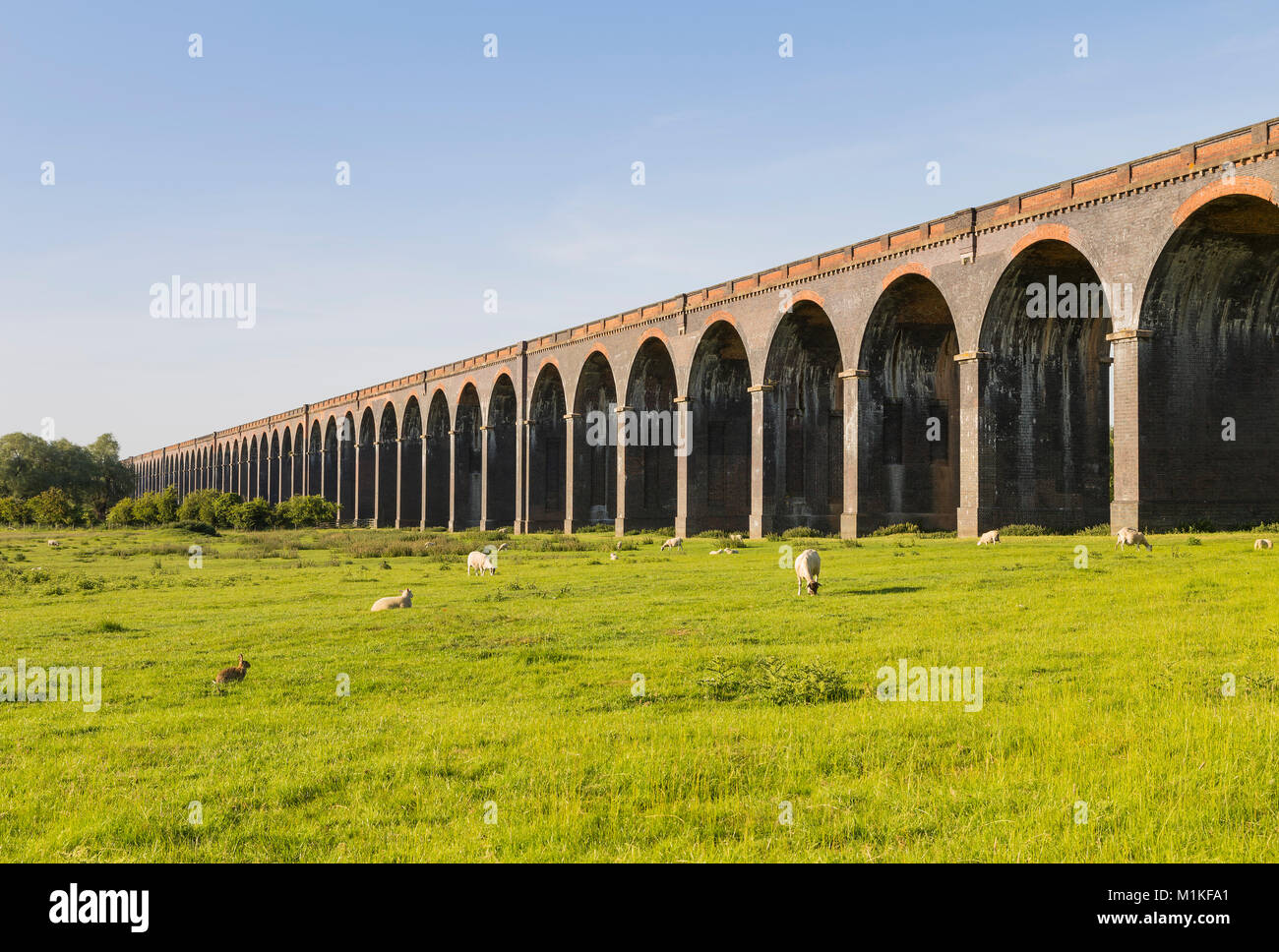 Harringworth viaducto ferroviario que muestra una selección de los ochenta y dos arcos. Foto de stock