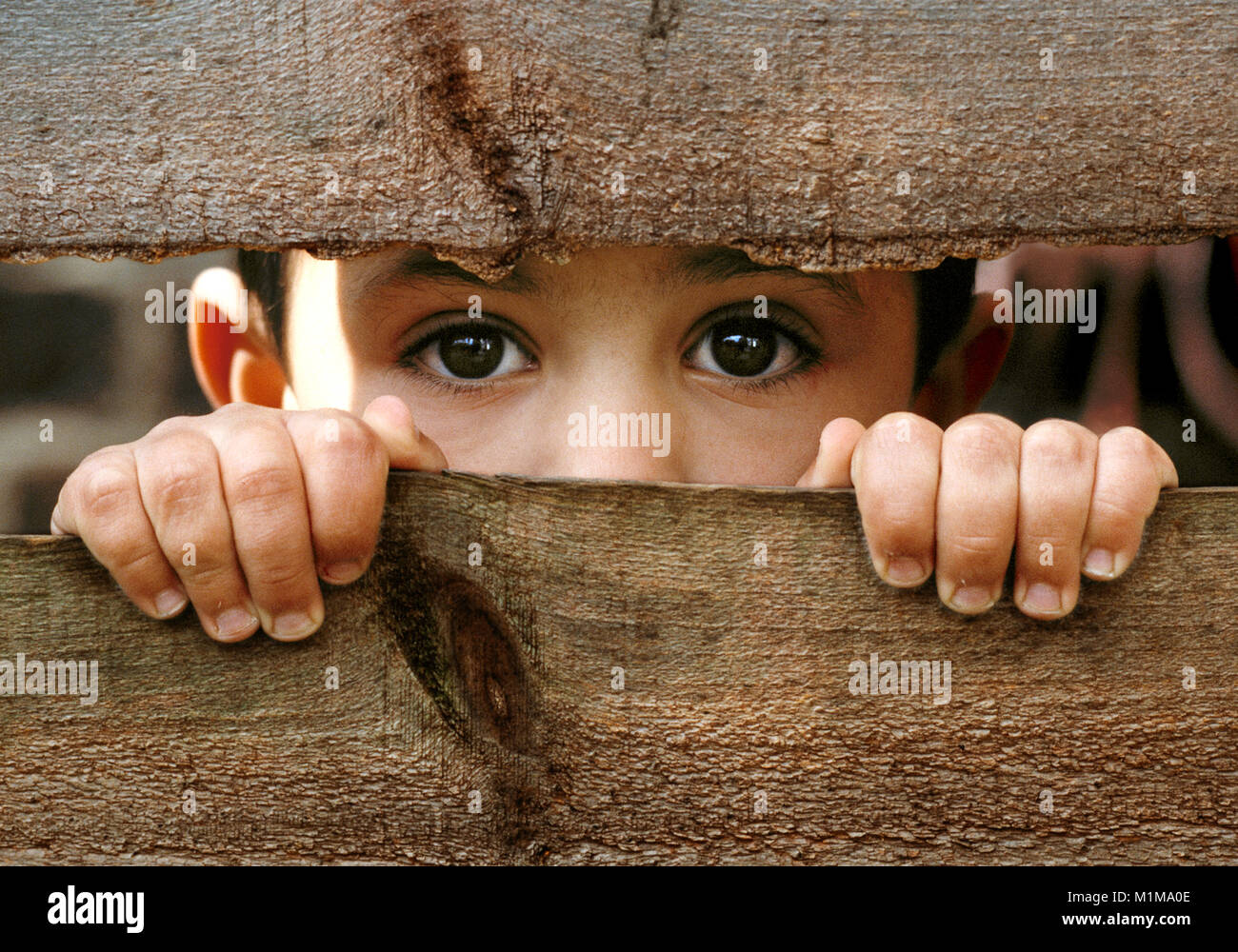 Niño pequeño con ojos de color marrón oscuro mirando a través de la brecha en la antigua valla de madera roto.asomarse al futuro Foto de stock