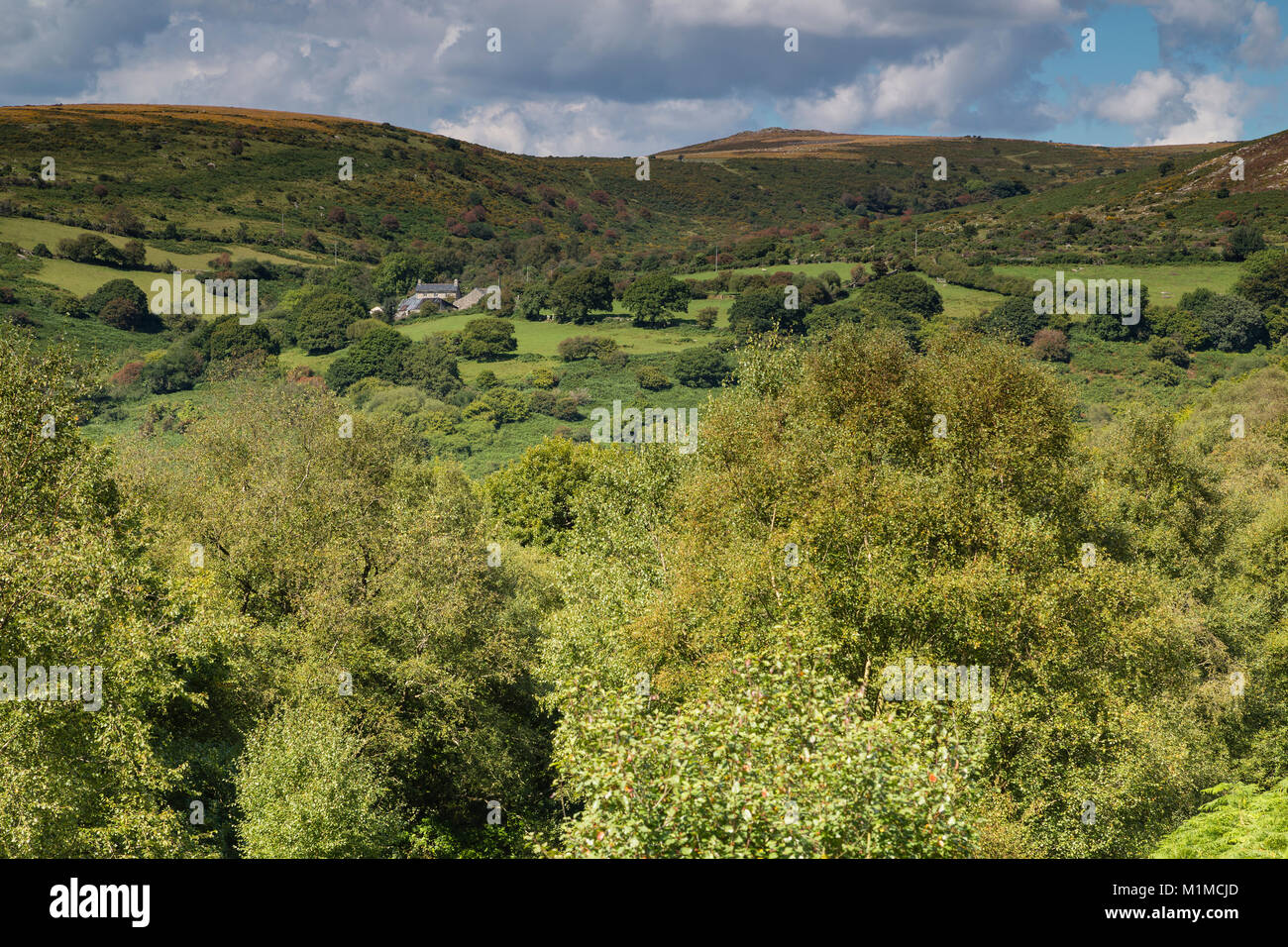 Una imagen de un cortijo sentado en las colinas de los alrededores de Dartmoor, Devon, Inglaterra, Reino Unido. Foto de stock