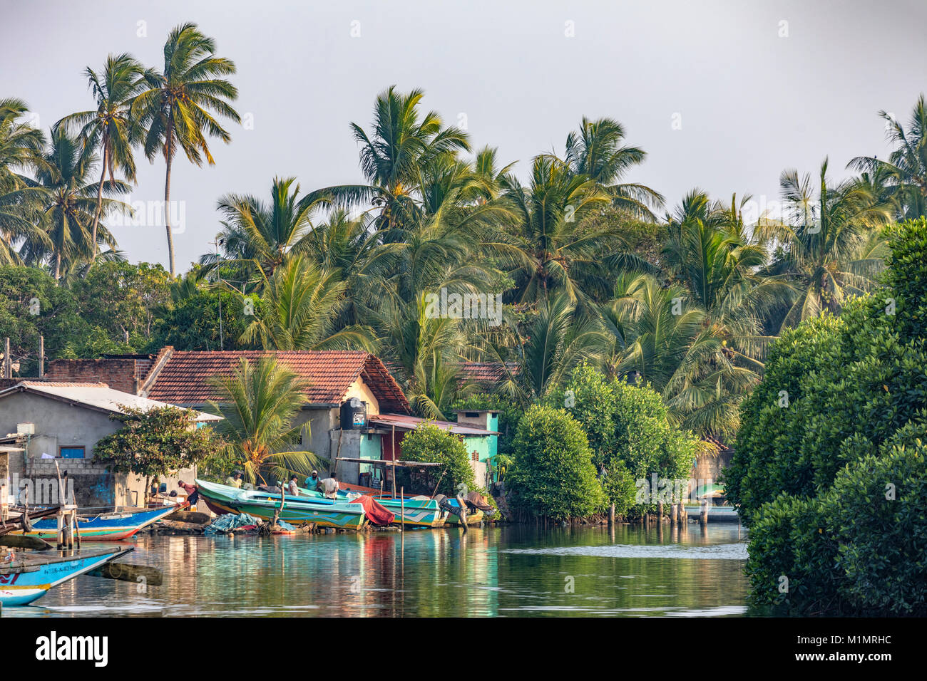 Laguna de Negombo, Canal Holandés, Negombo, Colombo, Sri Lanka, la Provincia Occidental, Asia Foto de stock