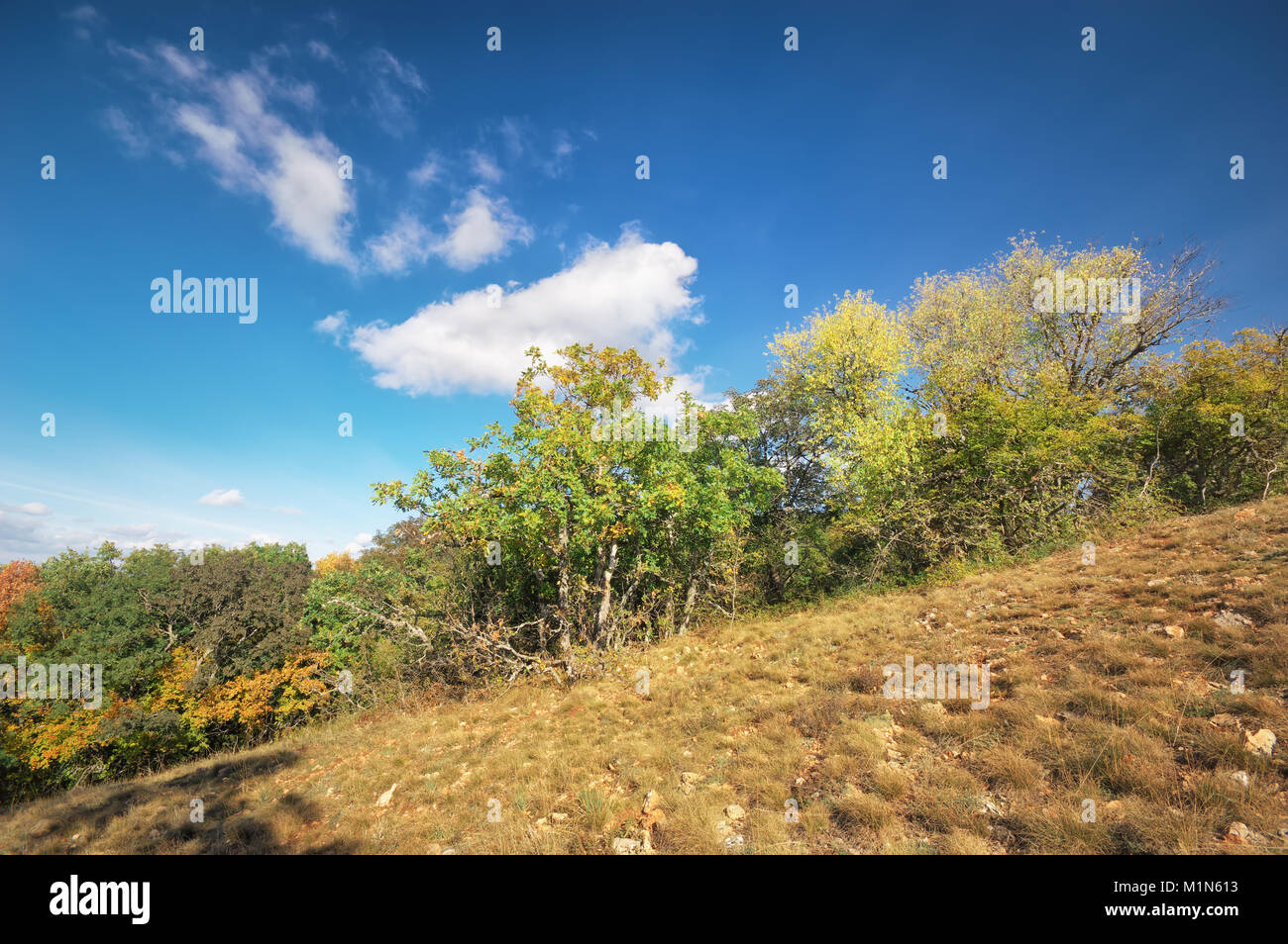 Colinas de otoño paisaje de montaña. Composición de la naturaleza Foto de stock