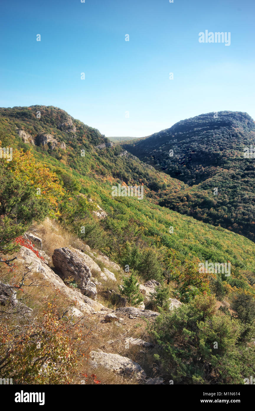 Colinas de otoño paisaje de montaña. Composición de la naturaleza Foto de stock