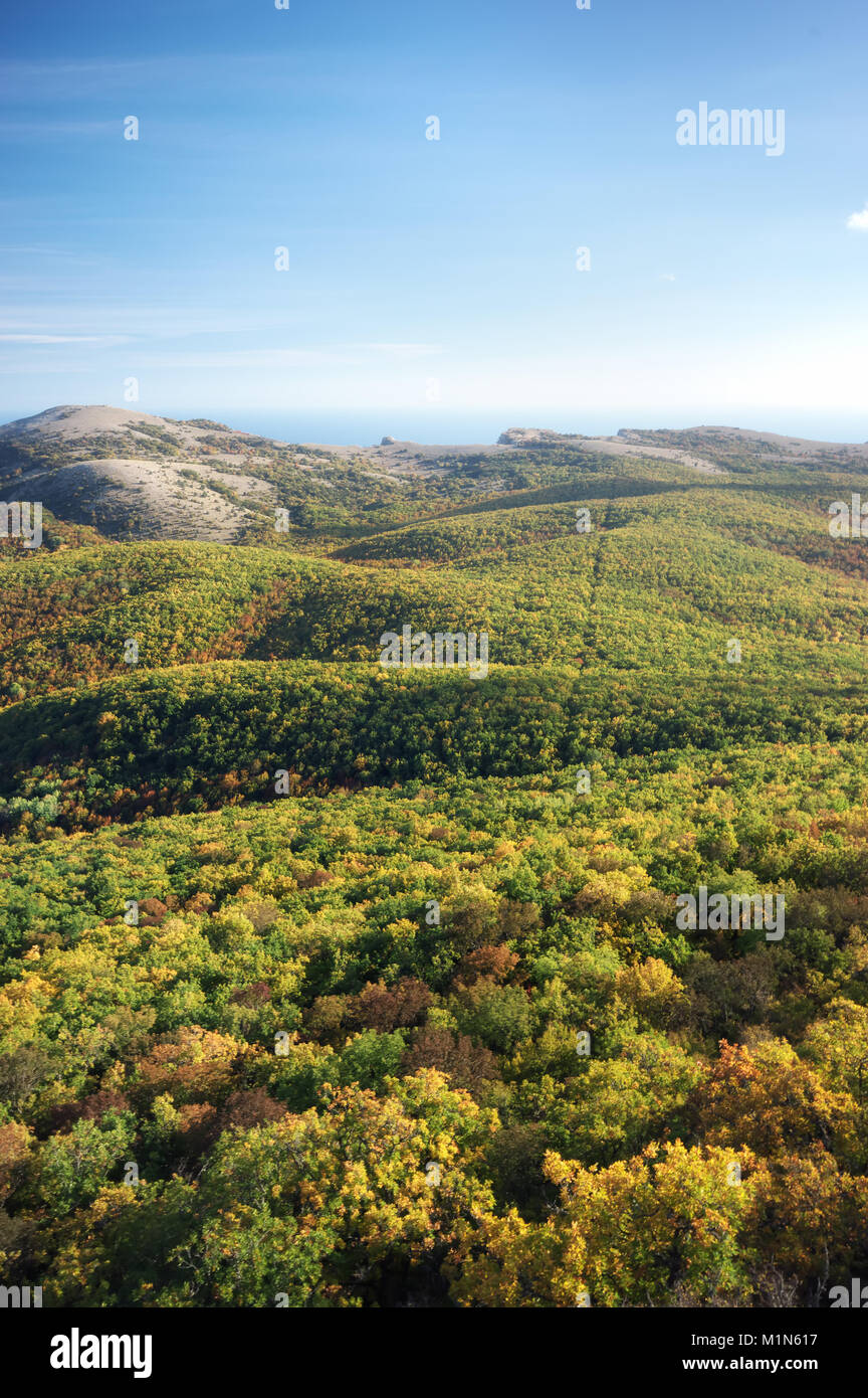 Colinas de otoño paisaje de montaña. Composición de la naturaleza Foto de stock