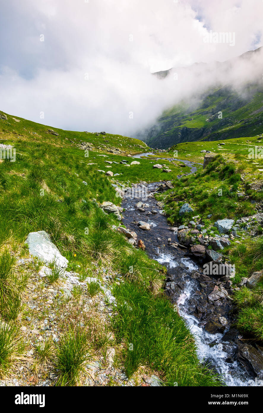 Wild brook de Fagaras montañas. Hermoso paisaje de verano con pendiente de hierba y acantilados rocosos. nubes bajas de la parte superior de la cresta de la montaña Foto de stock