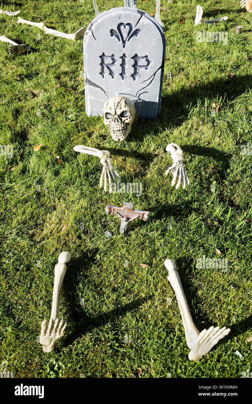 Esqueleto en el cementerio display para Halloween. Foto de stock