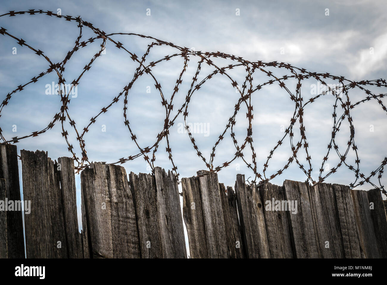 Valla de alambre de espino en la zona de acceso restringido Fotografía de  stock - Alamy