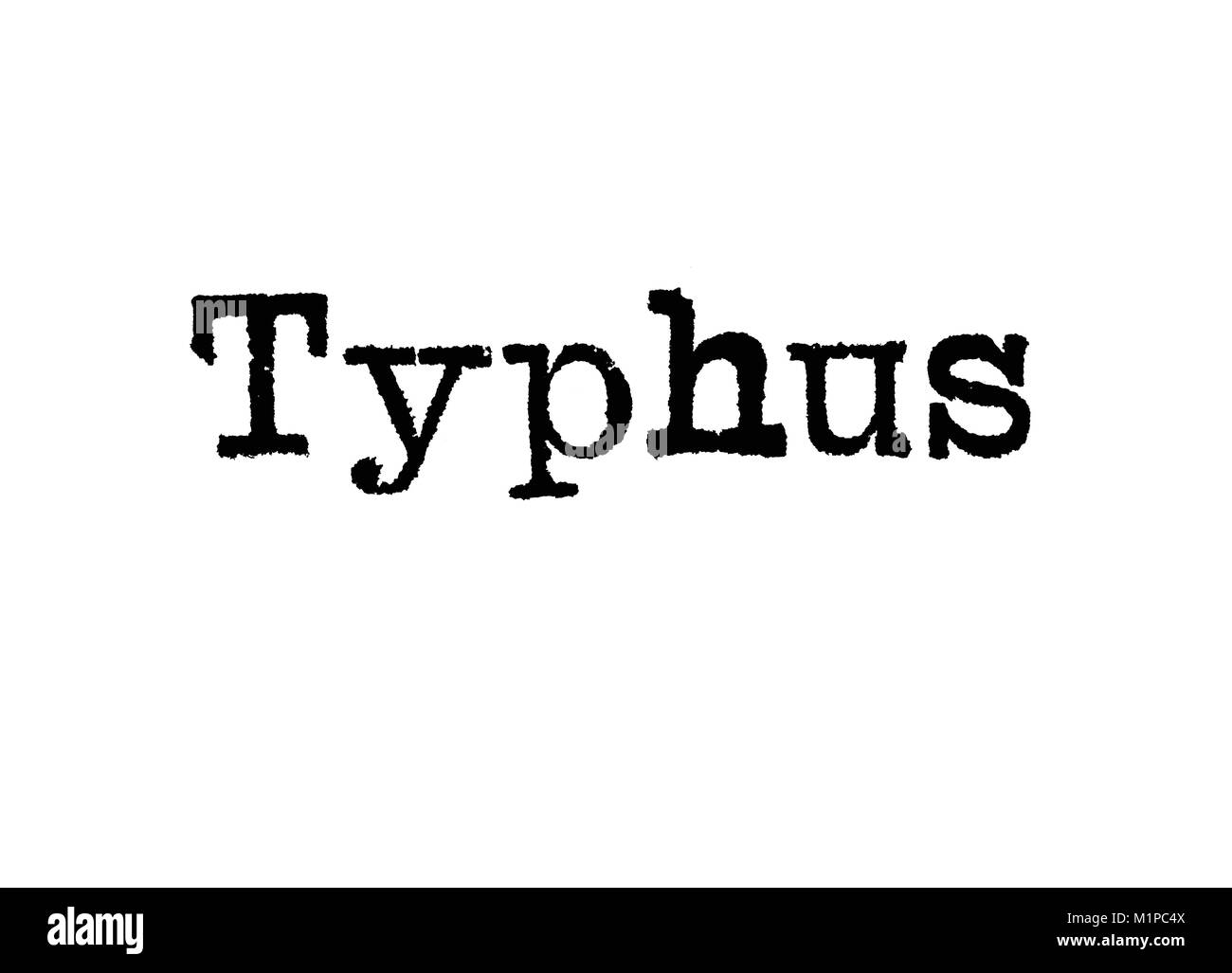 La palabra tifus desde una máquina de escribir sobre un fondo blanco. Foto de stock