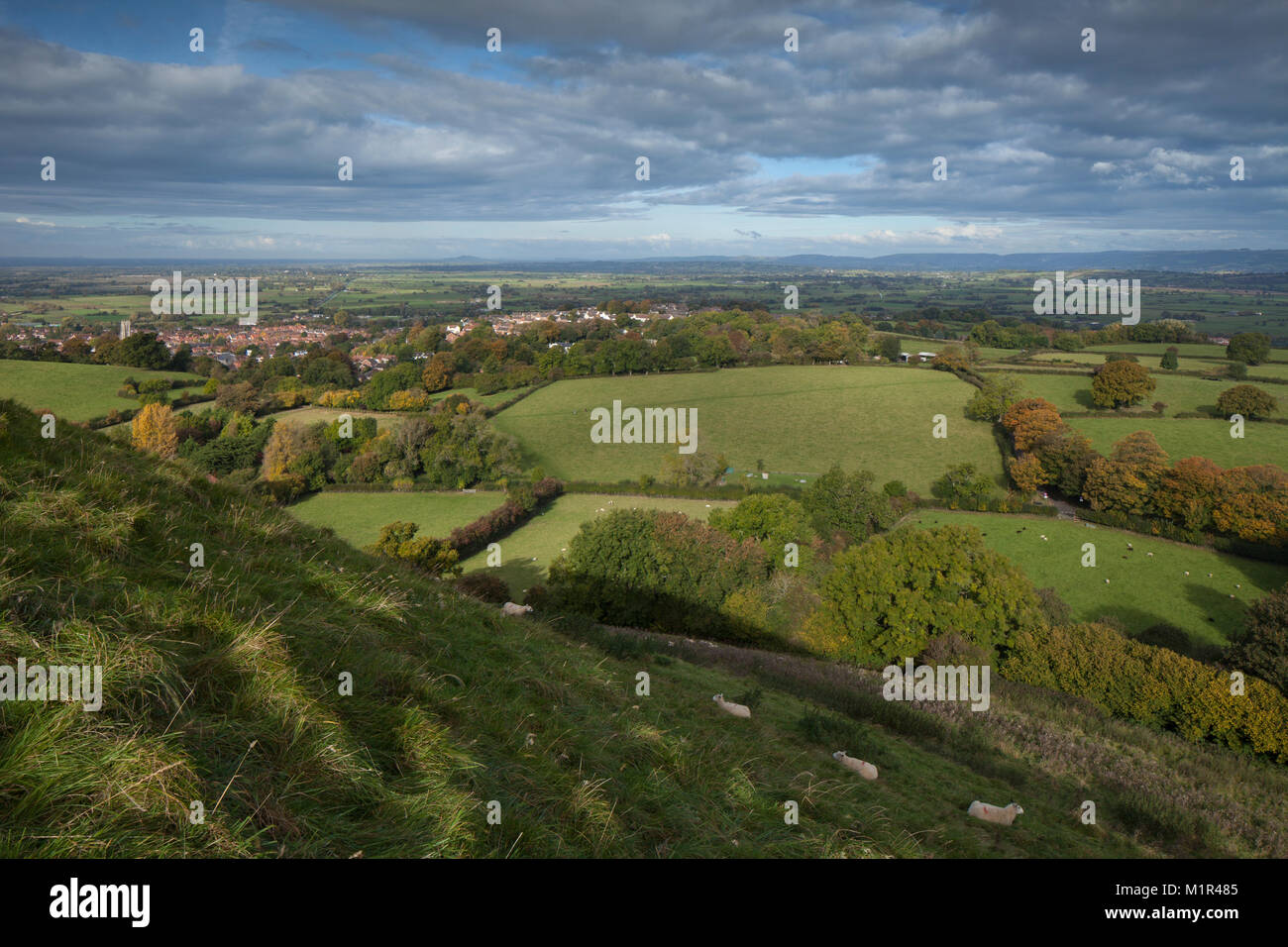 La ciudad de Glastonbury visto desde las escarpadas laderas de hierba de Glastonbury Tor con los niveles de Somerset y Mendip Hills en la distancia, Somerset, Reino Unido. Foto de stock