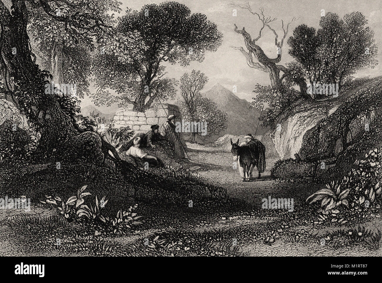 La cumbre del monte Tabor Paisaje ilustración de la Biblia grabado británico del siglo XIX La cumbre del monte Tabor Paisaje ilustración de la Biblia grabado británico del siglo XIX