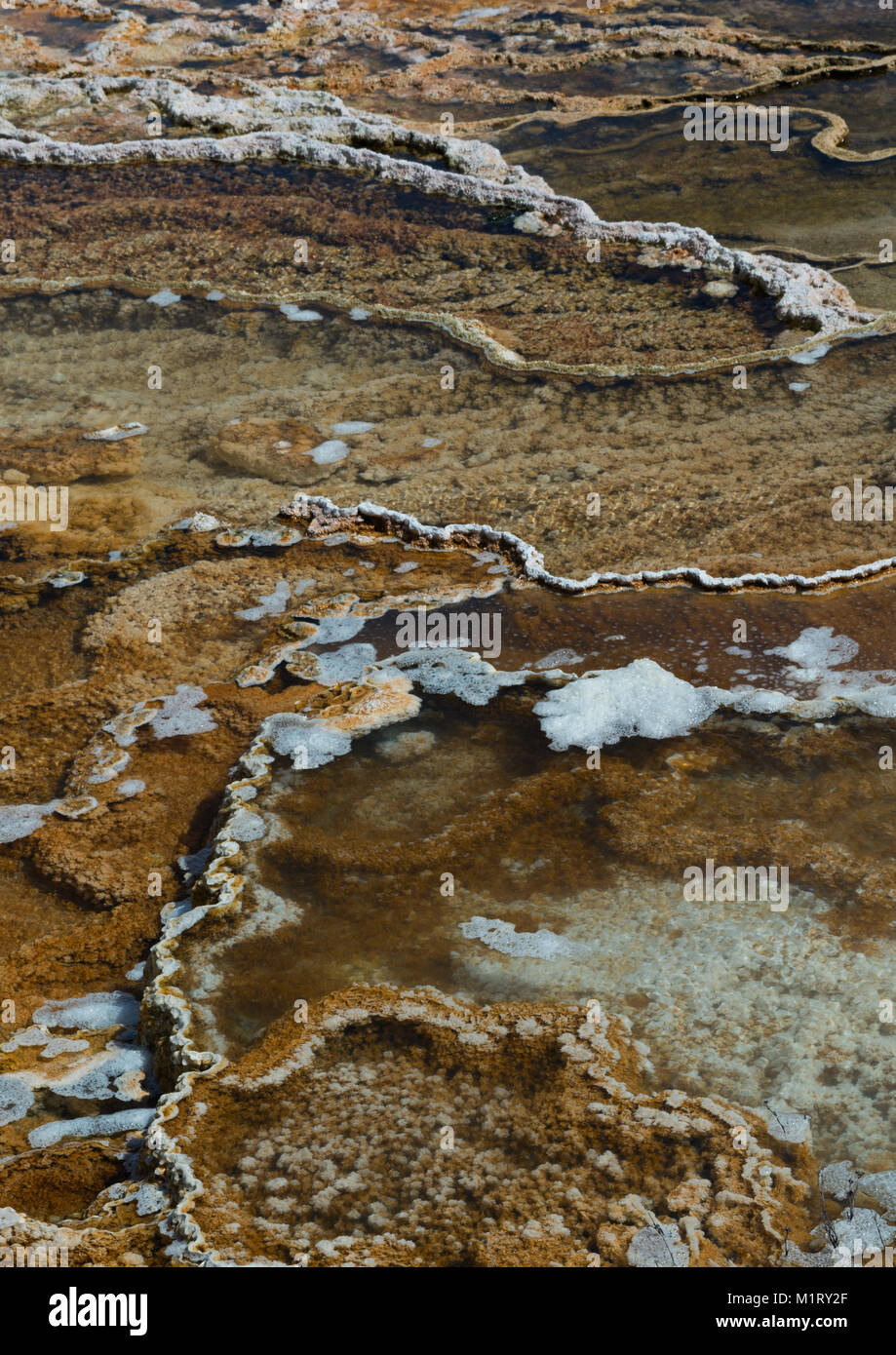 Como coral, baterica ha construido cordilleras que forman piscinas a celebrar super calentada géiser de agua. Foto de stock
