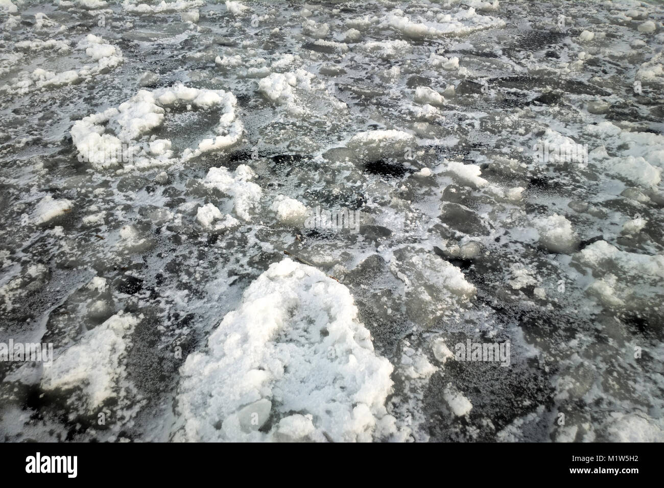 Pancake hielo en el Golfo de Finlandia del mar Báltico. hermoso patrón variado frost lejos de la costa Foto de stock