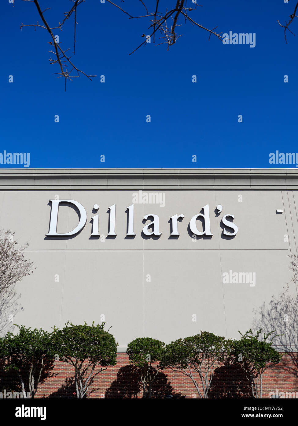 Dillard's Department Store, signo y logo corporativo para el anclaje de
