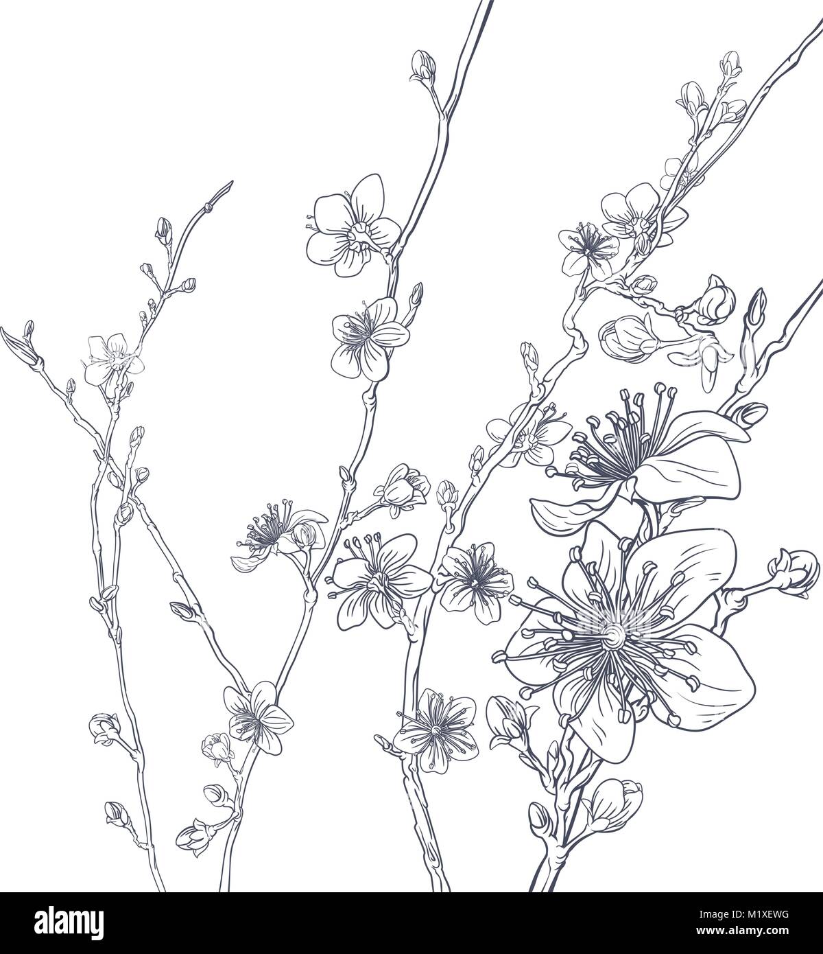 Flor de Cerezo la trama de fondo de flores de Durazno Imagen Vector de  stock - Alamy
