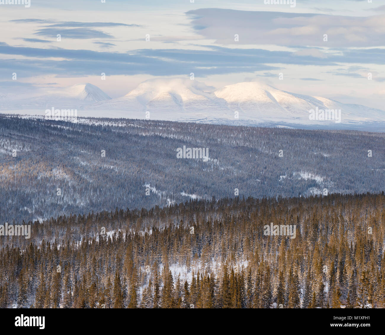 Bosques y montañas durante el invierno de Hedmark, Suecia Foto de stock
