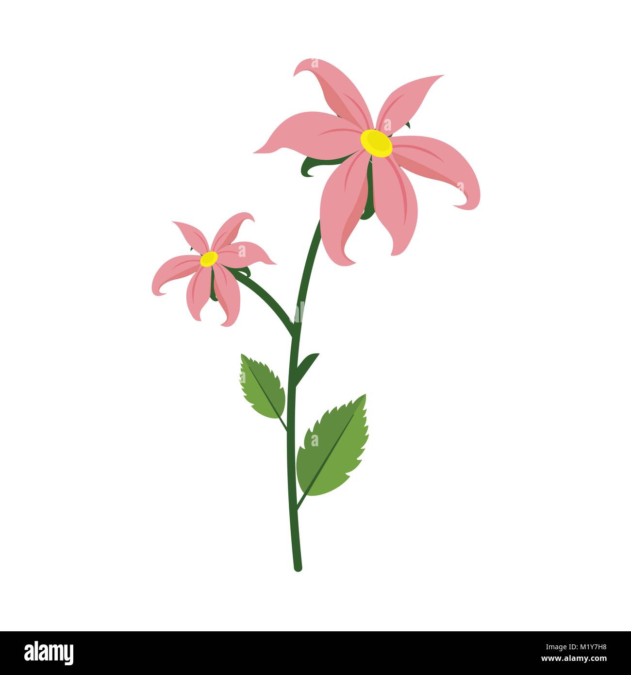 Planta de flor de lis aislados ilustración vectorial Diseño Gráfico Imagen  Vector de stock - Alamy