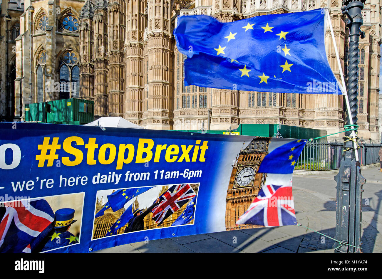 Londres, Inglaterra, Reino Unido. Daily Anti-Brexit protestar frente a las Casas del Parlamento, frente a la Abadía de Westminster - organizado por Steve Bray y otros Foto de stock