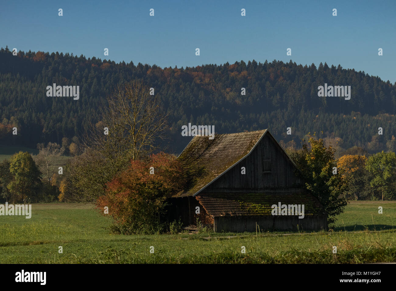 Antiguo Granero de madera en Alemania al amanecer. Foto de stock