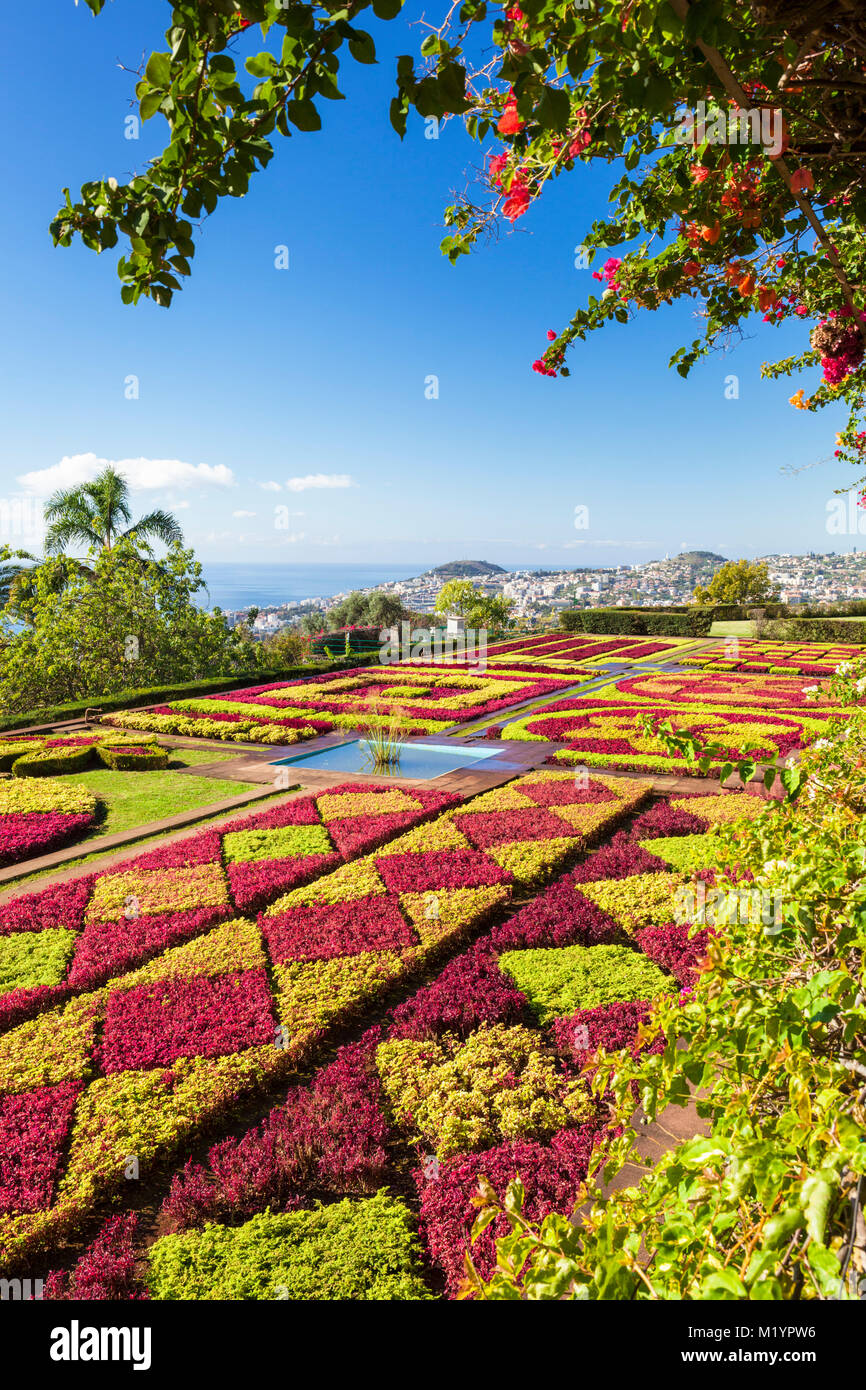 MADEIRA PORTUGAL Madeira Funchal Jardín botánico Jardín Botánico Jardim Botanico encima de la capital de Funchal, Madeira, Portugal, EU, Europa Foto de stock