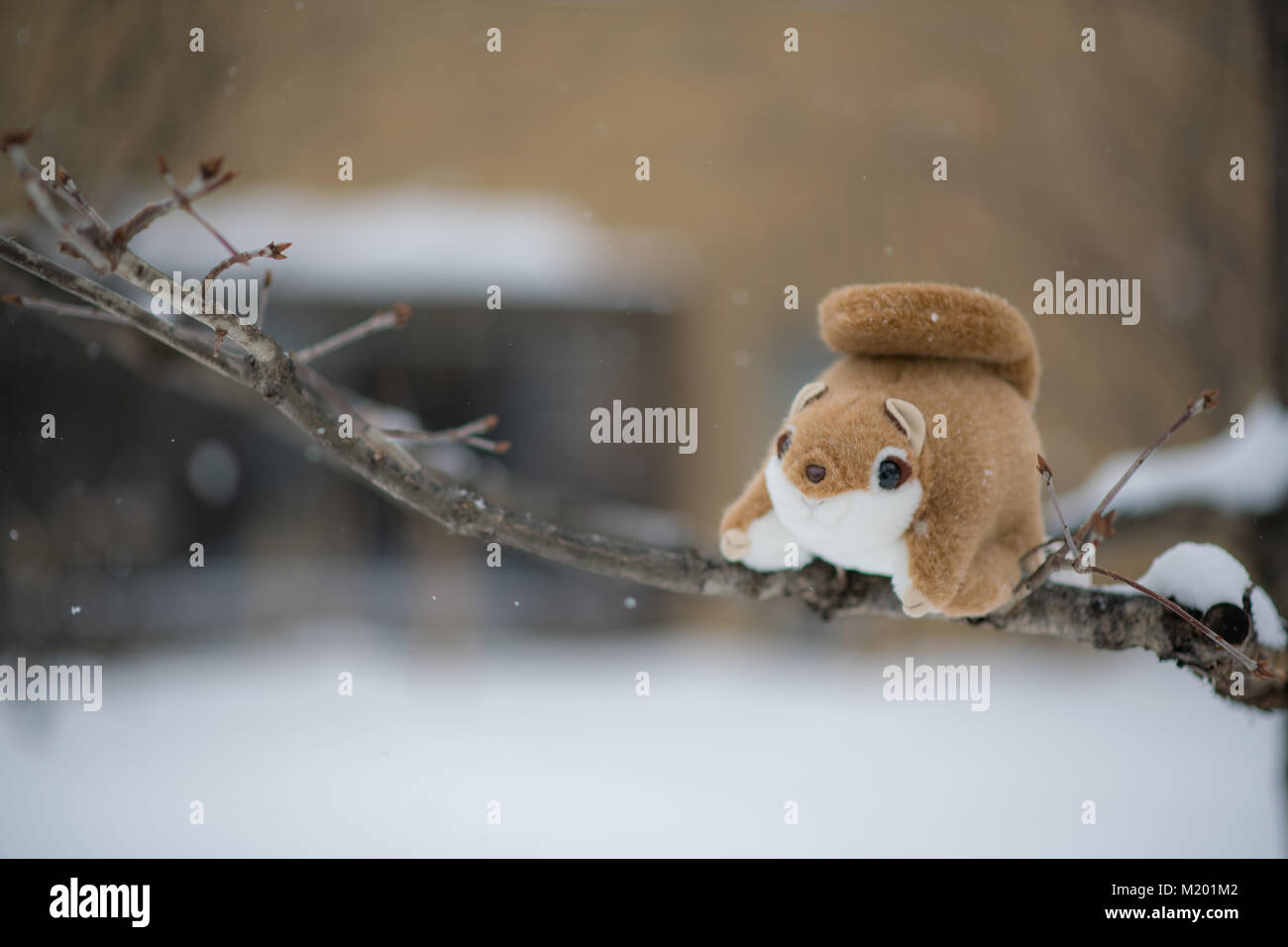 Momonga Fotos E Imagenes De Stock Alamy