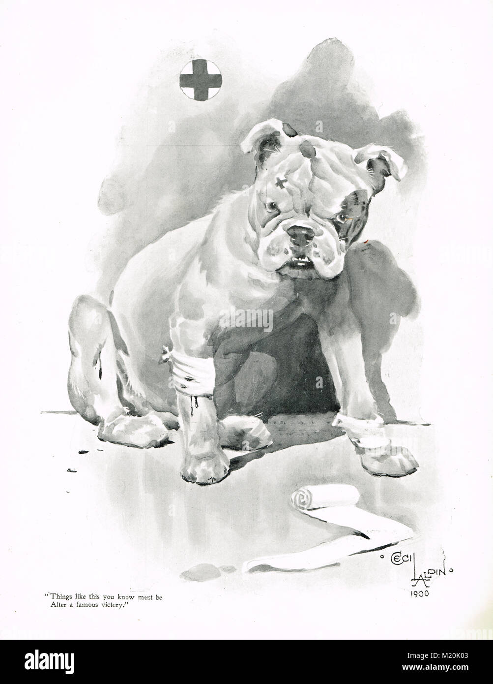 Herido, pero desafiante Bulldog Británico, la segunda guerra de los bóers, 1900 Foto de stock