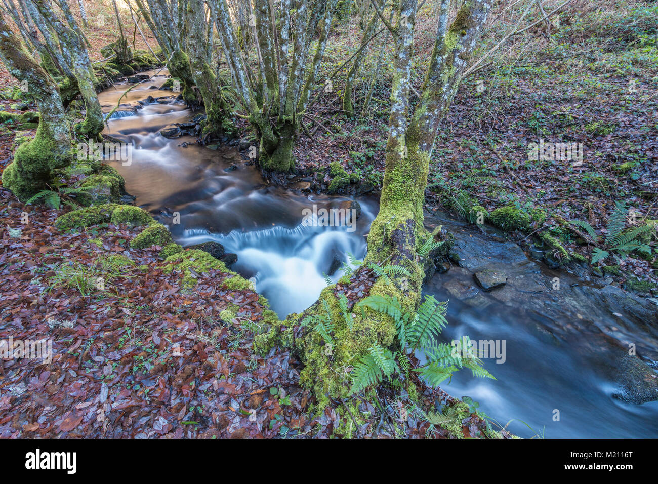 Tiempo de cascadas y ríos llenos de agua en el otoño de un pequeño pueblo  de Galicia, Fonsagrada, vale la pena visitar por su belleza y grandeza  Fotografía de stock - Alamy