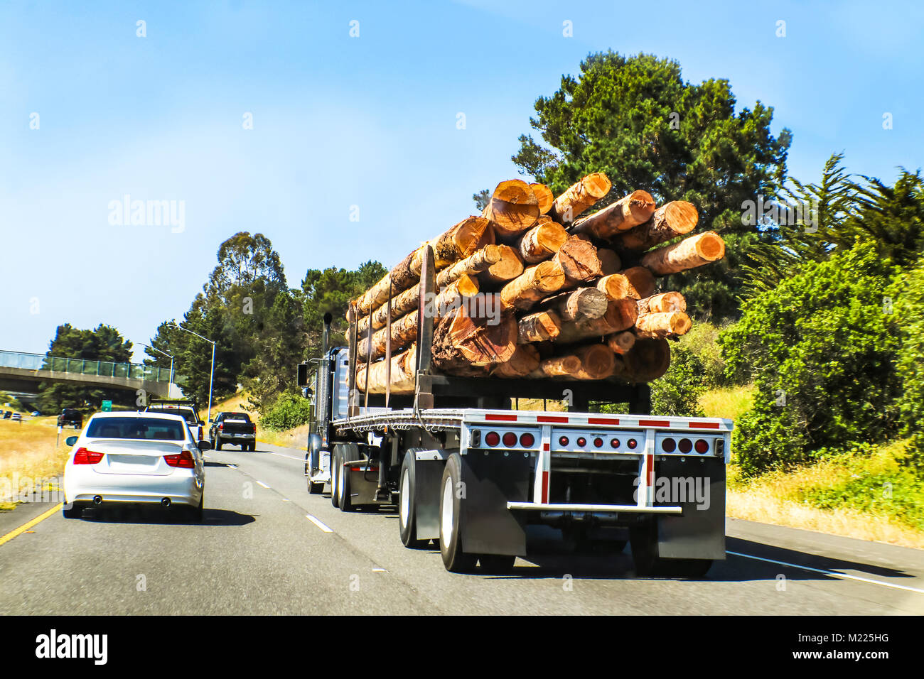 Vista de lectura del registro semi camión cargado con troncos grandes viajando por la carretera con otros vehículos Foto de stock