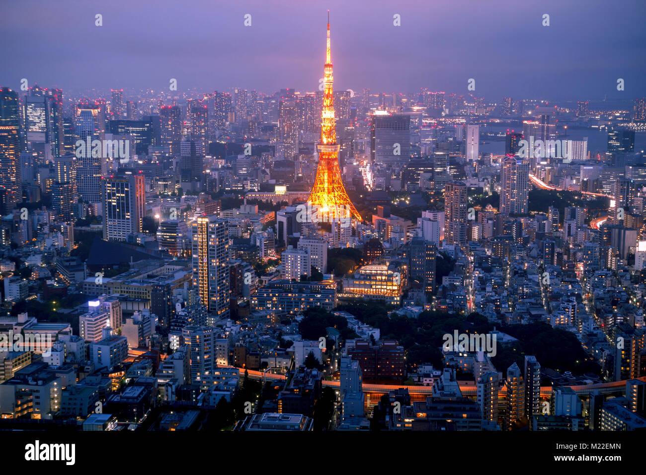 Horizonte de Tokio al atardecer, con la famosa torre de Tokyo. Foto de stock