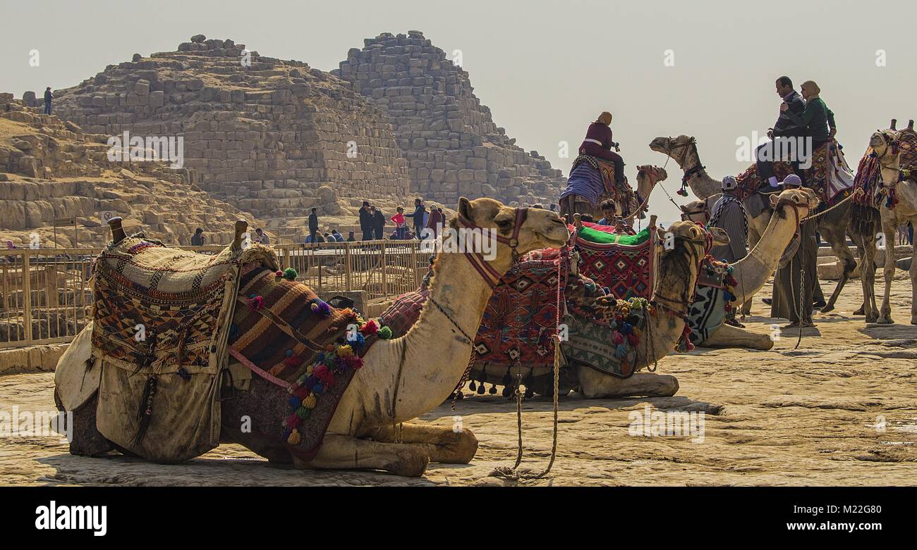 Las pirámides de Giza. Foto de stock