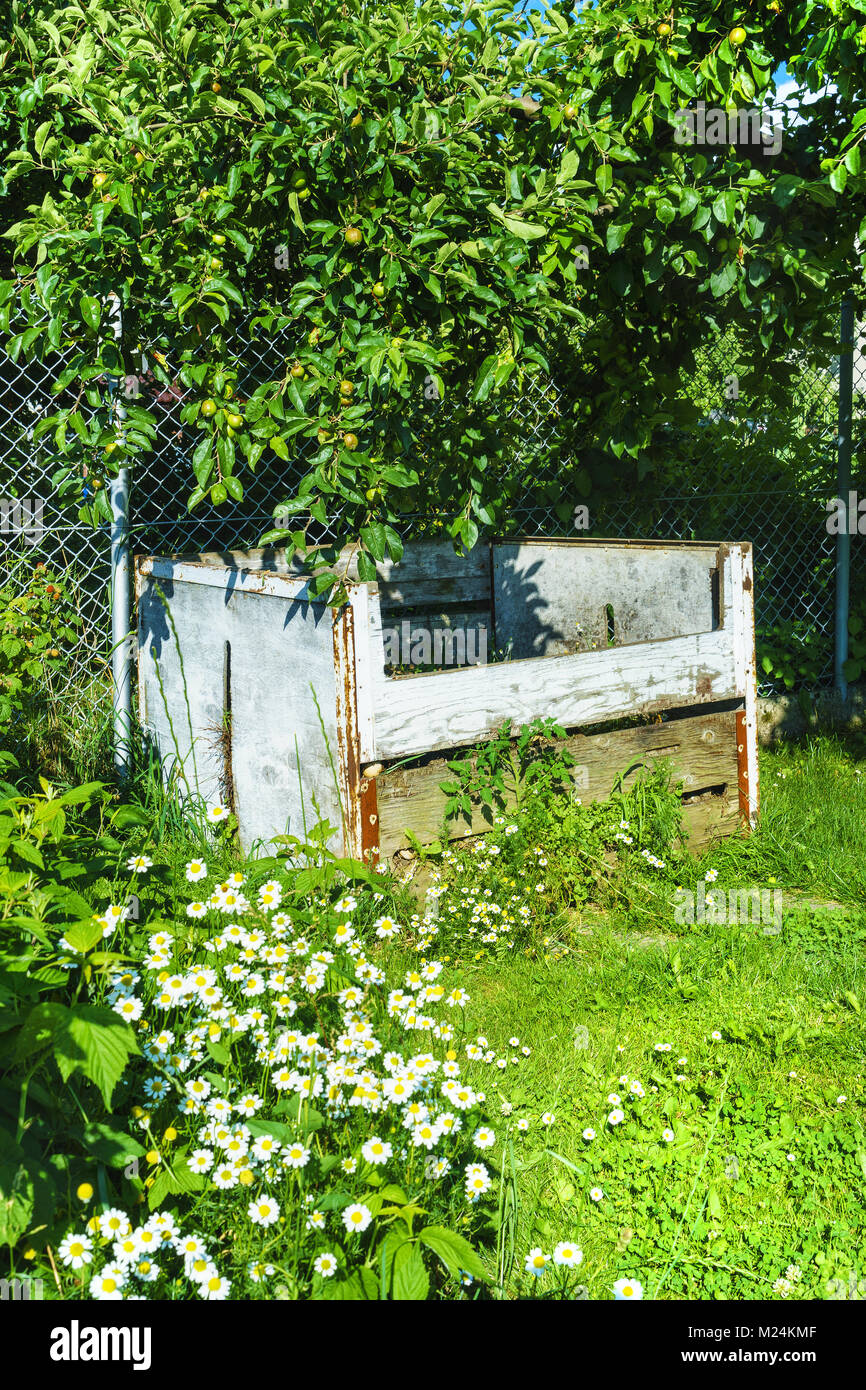 El compostaje en el jardín bajo el árbol Foto de stock