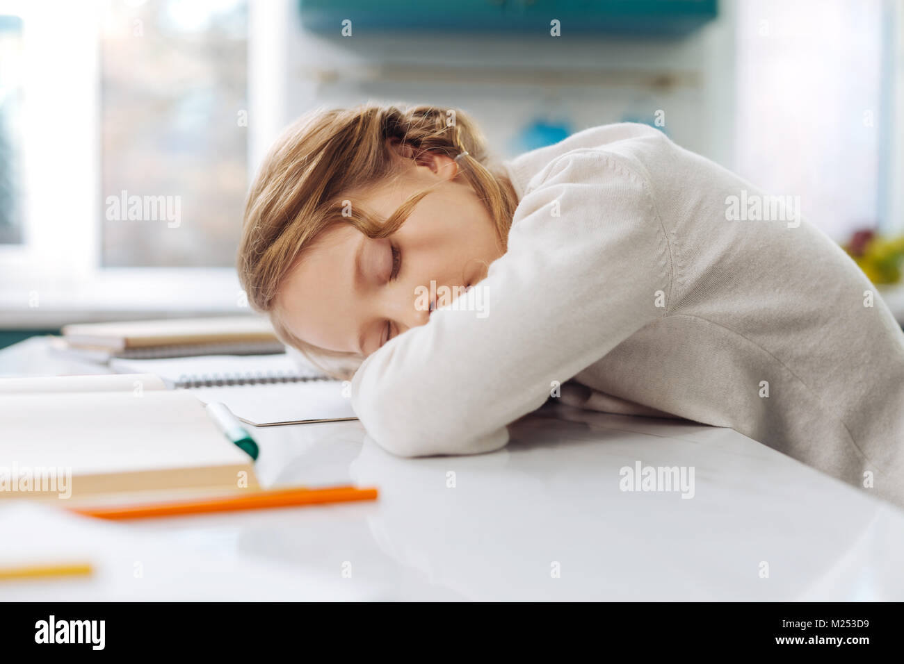 Dulce niño que duerme sobre sus libros Foto de stock