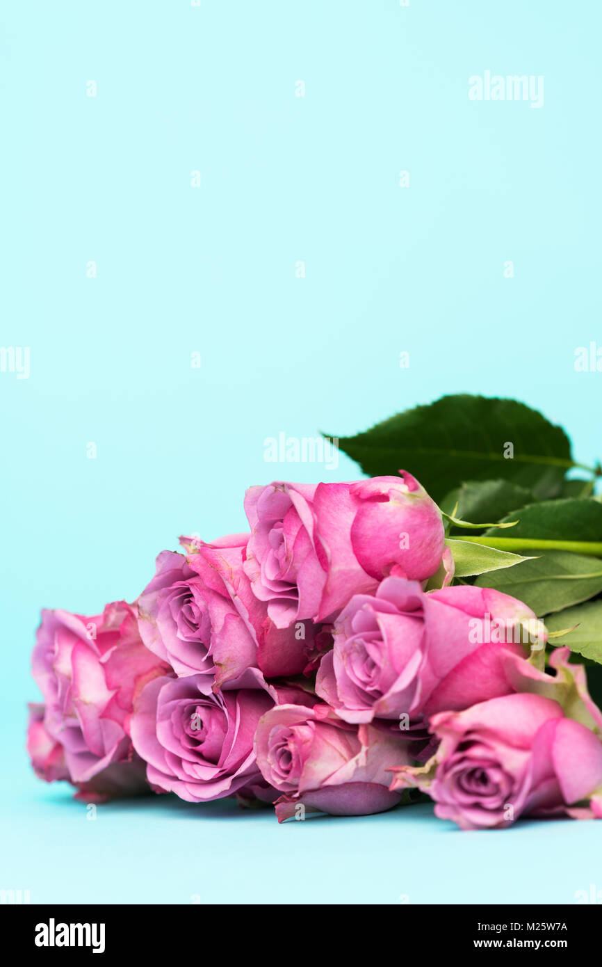 Feliz Día de la Madre, Día de la Mujer, Día de San Valentín o antecedentes de cumpleaños. Tarjeta de felicitación con hermosas rosas rosas frescas y copie el espacio Fotografía de stock - Feliz Día de la Madre, Día de la Mujer, Día de San Valentín o antecedentes de cumpleaños. Tarjeta de felicitación con hermosas rosas rosas frescas y copie el espacio Fotografía de stock -