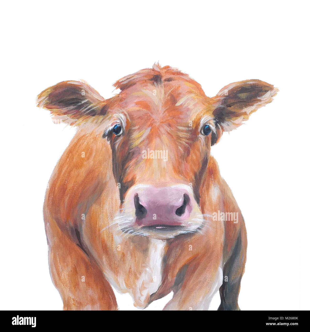 Pintura de una vaca dexter Foto de stock