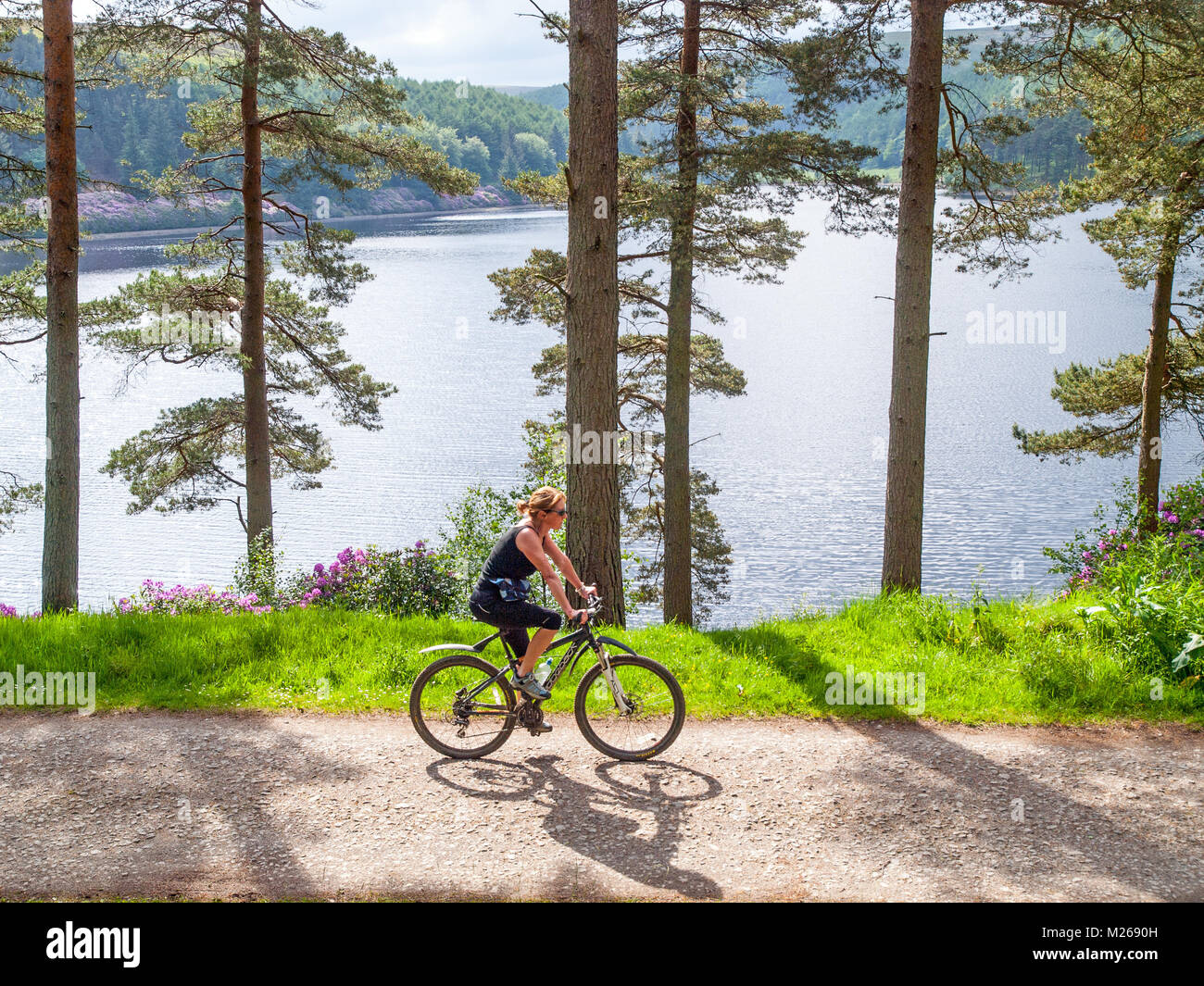 Equitación ciclista femenina en la vía alrededor de las represas Ladybower,Peak District National Park Foto de stock