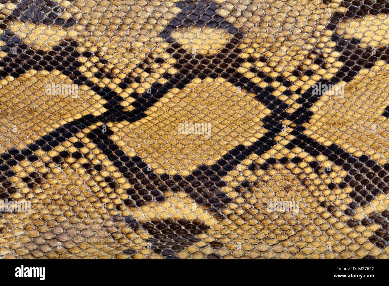 Vintage handbag hecho de auténtica piel de serpiente Foto de stock