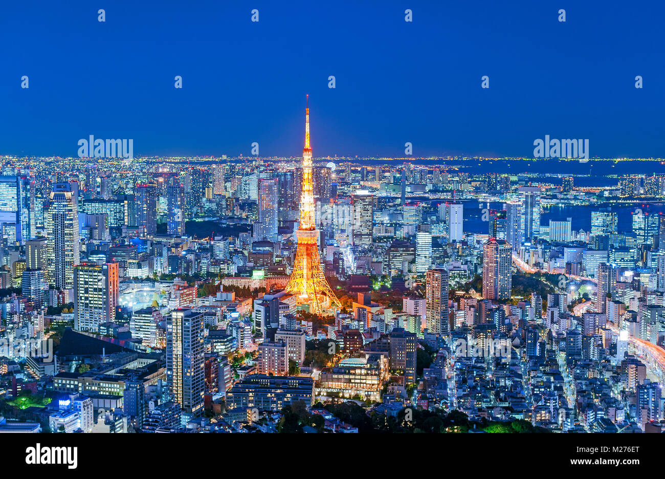 Horizonte de Tokio La Torre de Tokio a las luces de la ciudad Foto de stock
