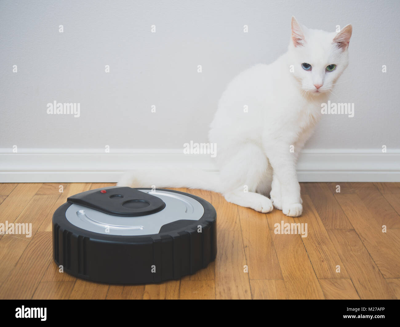 Robot aspirador eléctrico para gatos, máquina de limpieza, juguete para  mascotas|Juguetes para gato| - AliExpress