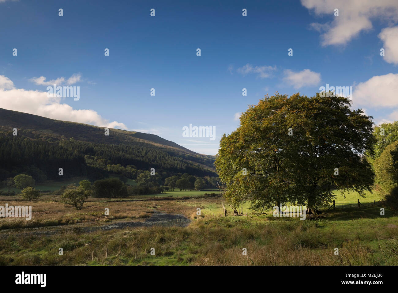 Una imagen de un hermoso valle galés situado al borde del depósito Talybont, Powys, Gales, Reino Unido Foto de stock