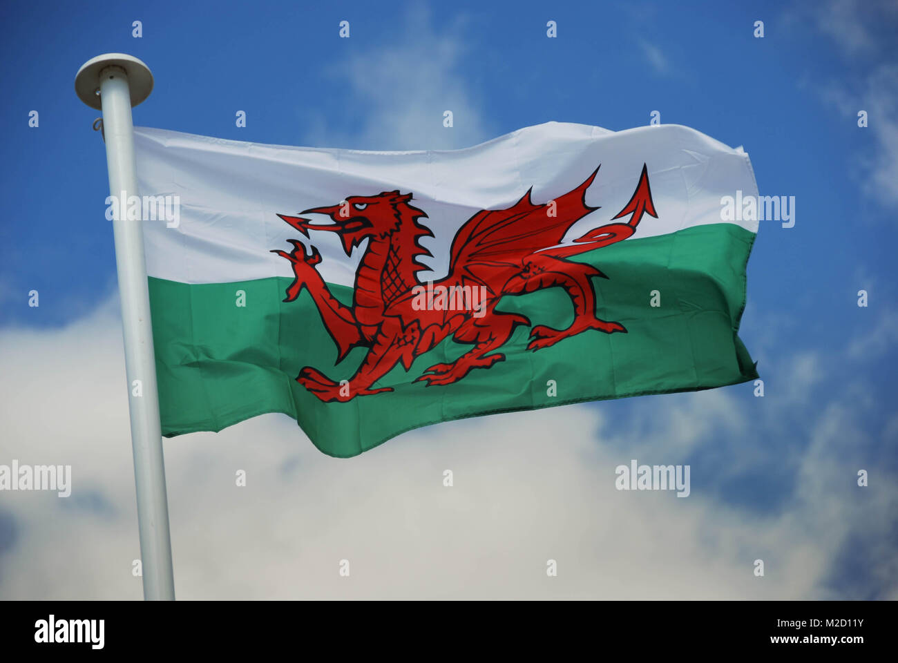 El Dragón Rojo - la bandera nacional de Gales Fotografía de stock - Alamy